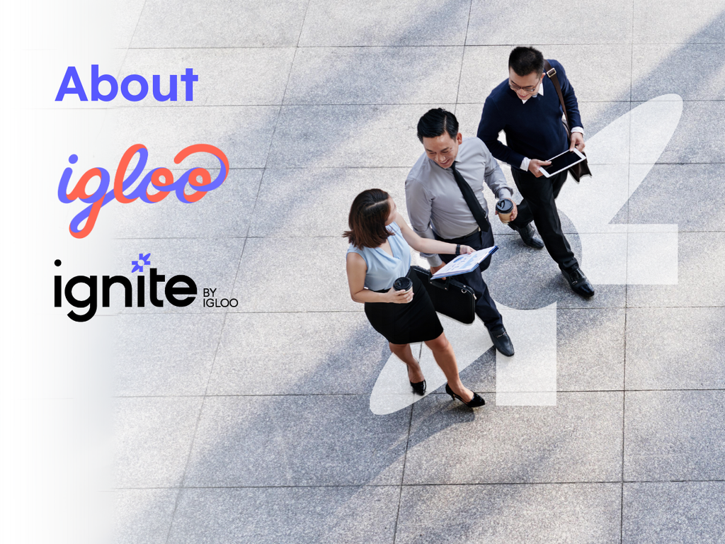 All About Igloo and Ignite